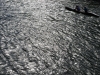 md13_06941