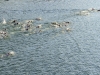 md13_05302