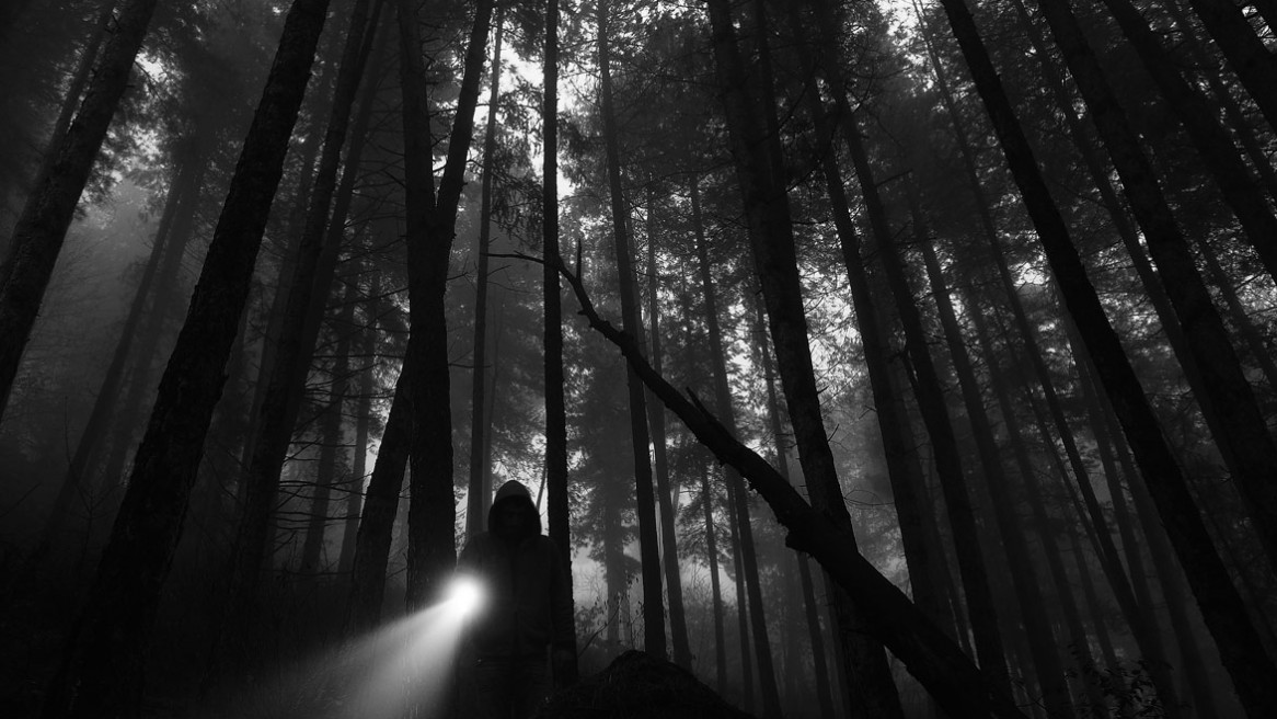 Une forêt sombre, une légère brume, une silhouette, une lampe torche... Une scène pesante, photographiée par Matthieu Dupont