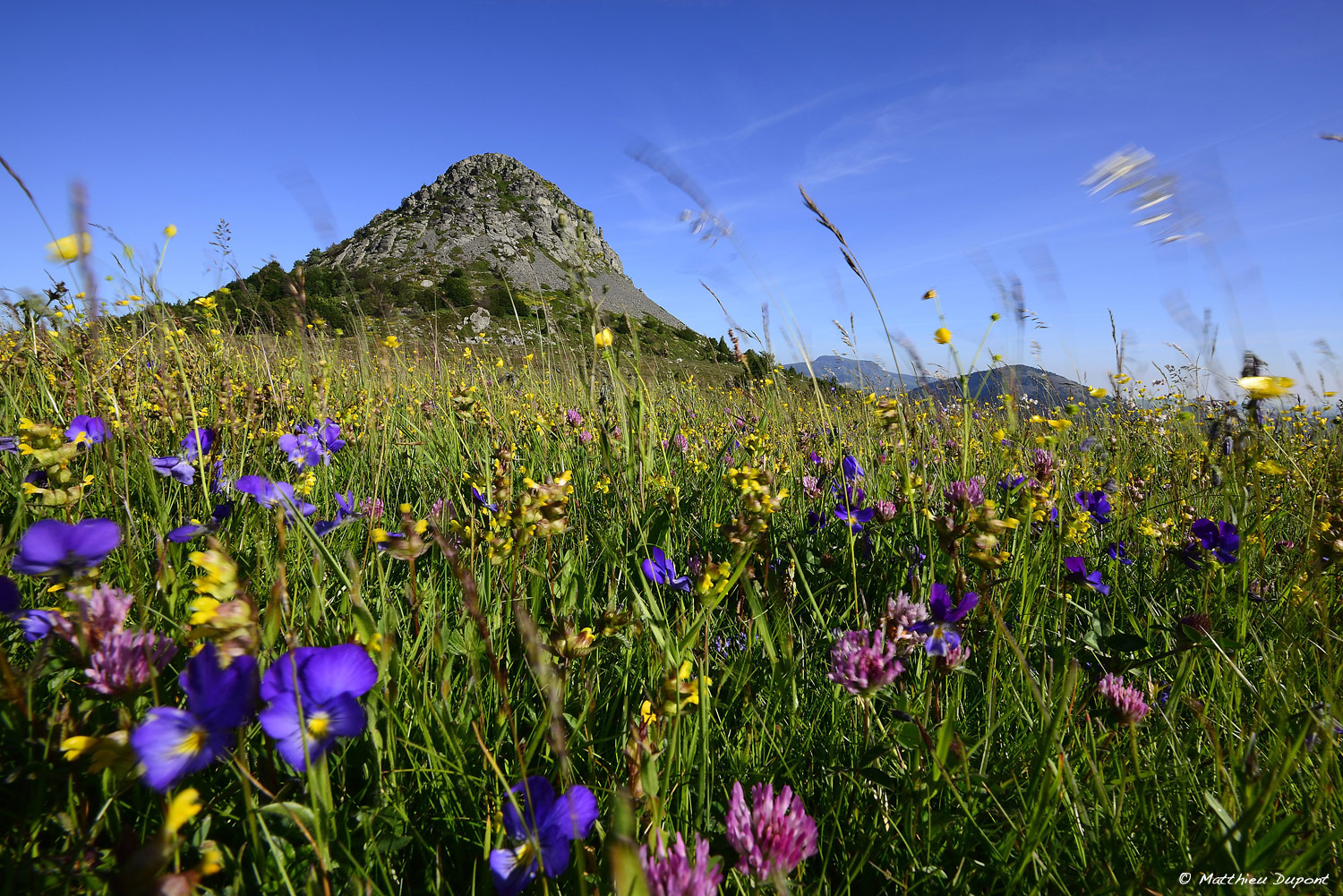 Sites et paysages d'Ardèche