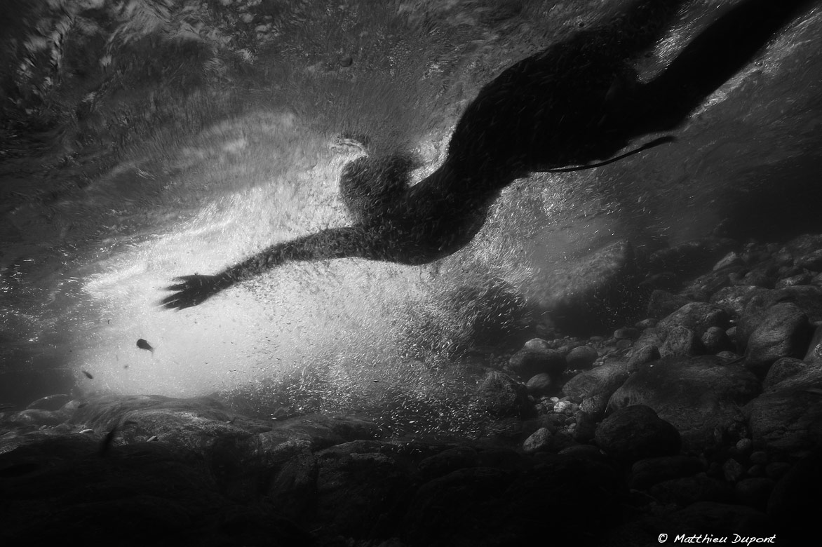 Photographie sous l'eau de Matthieu Dupont
