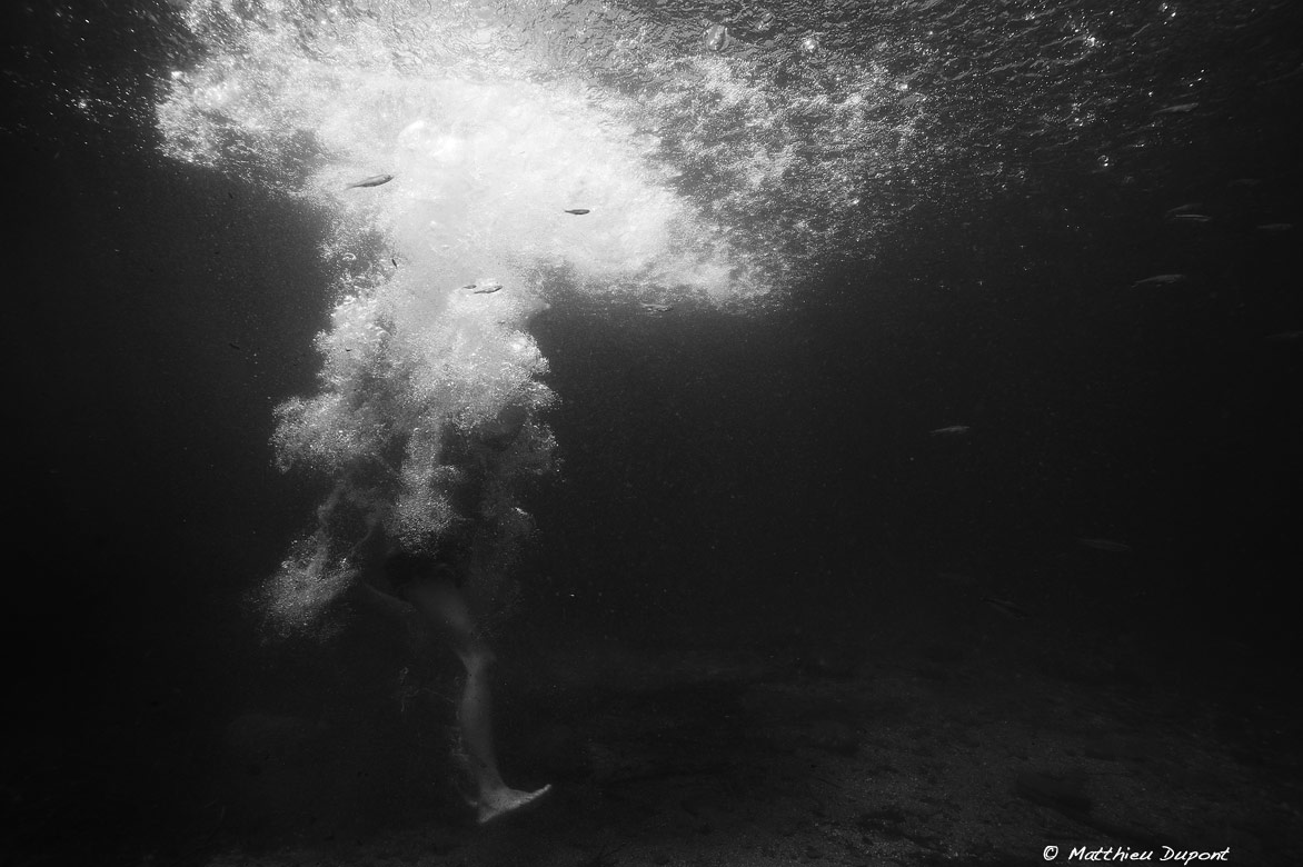 Photographie sous l'eau de Matthieu Dupont
