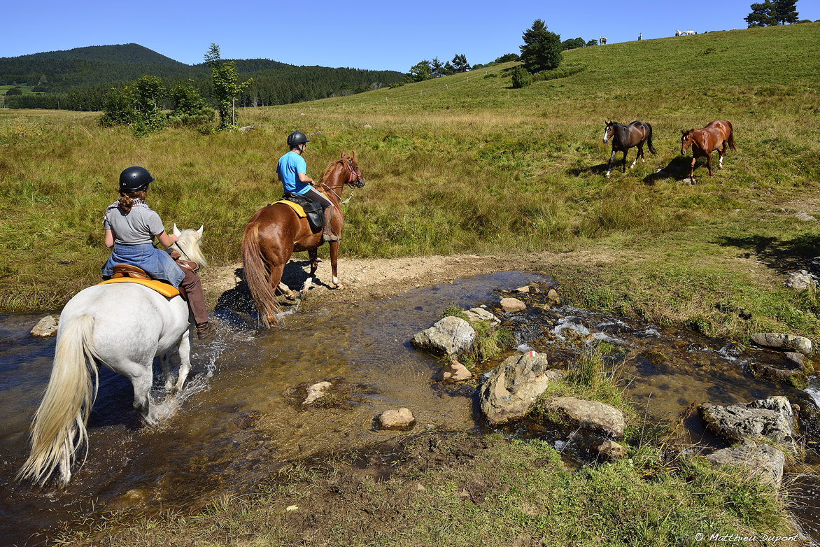 Cavaliers traversant un petit ruisseau en Ardèche. Photo Matthieu Dupont