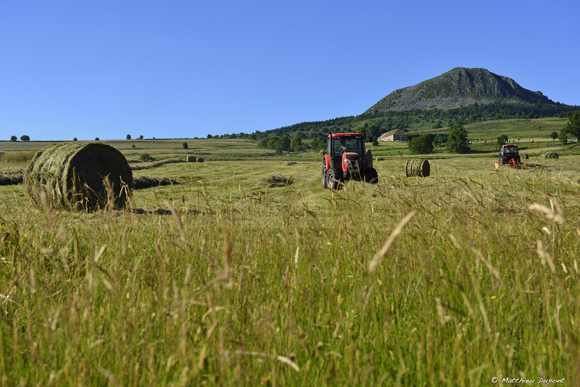 La fenaison sur le plateau ardéchois. La danse des tracteurs au milieu des balles de foin et des sucs volcaniques. Photo Matthieu Dupont