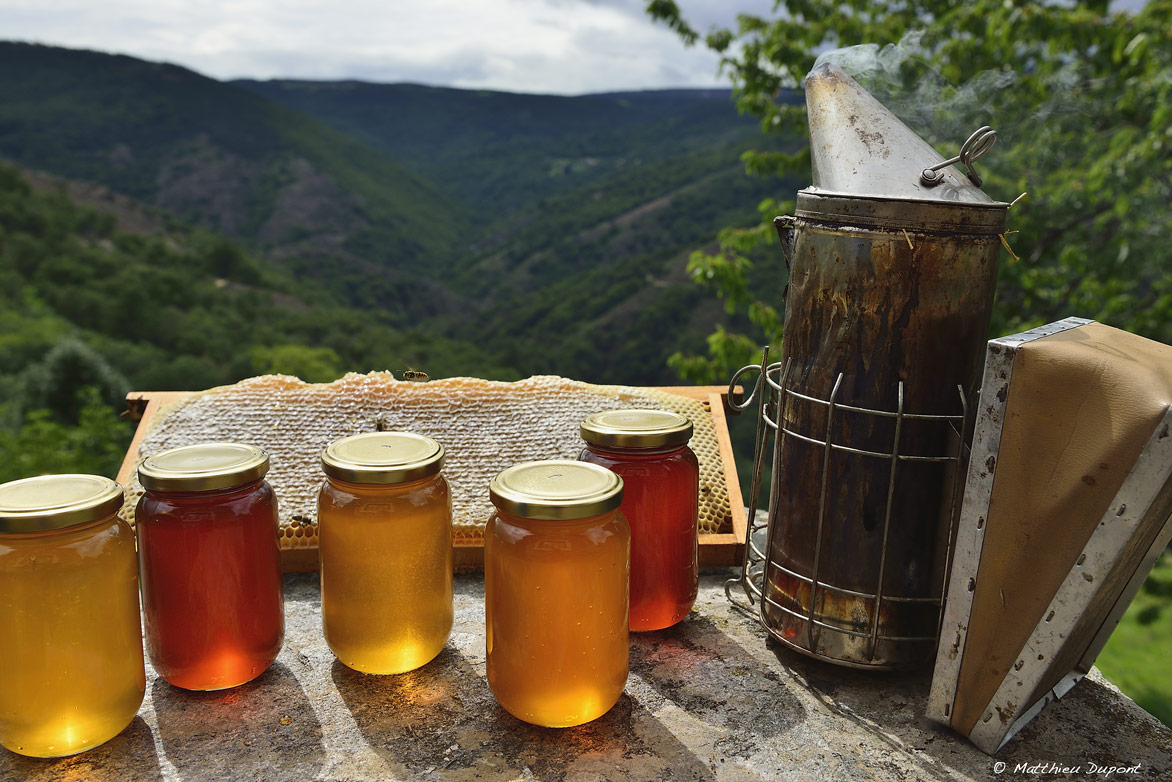 Pots de miel, breche et enfumoir chez un apiculteur de la montagne ardéchoise; Photo Matthieu Dupont