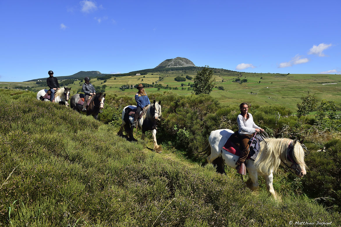 Cavaliers sur le plateau ardéchois. Photo Matthieu Dupont