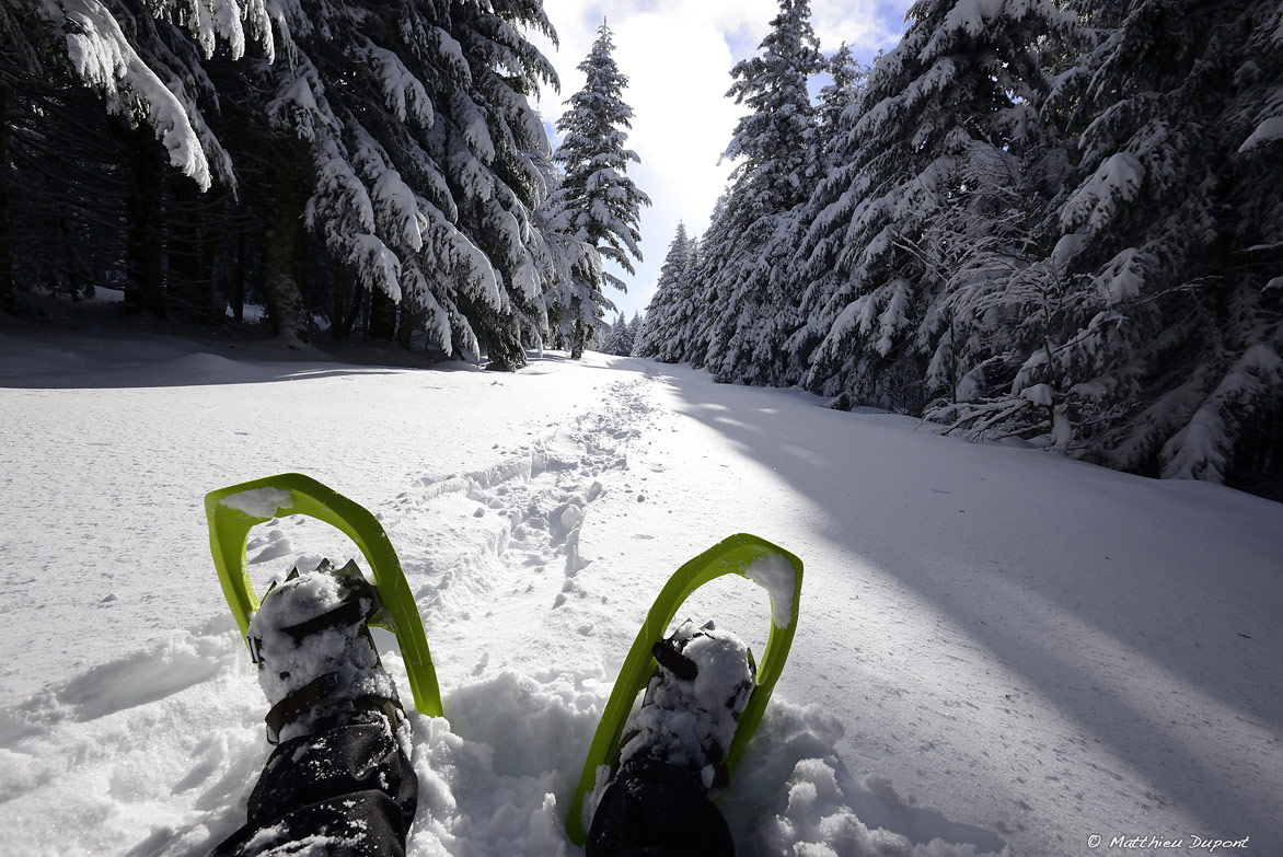 Ballade en raquette dans les forêts de sapins enneigés, à la Croix de Bauzon en Ardèche. Photo Matthieu Dupont