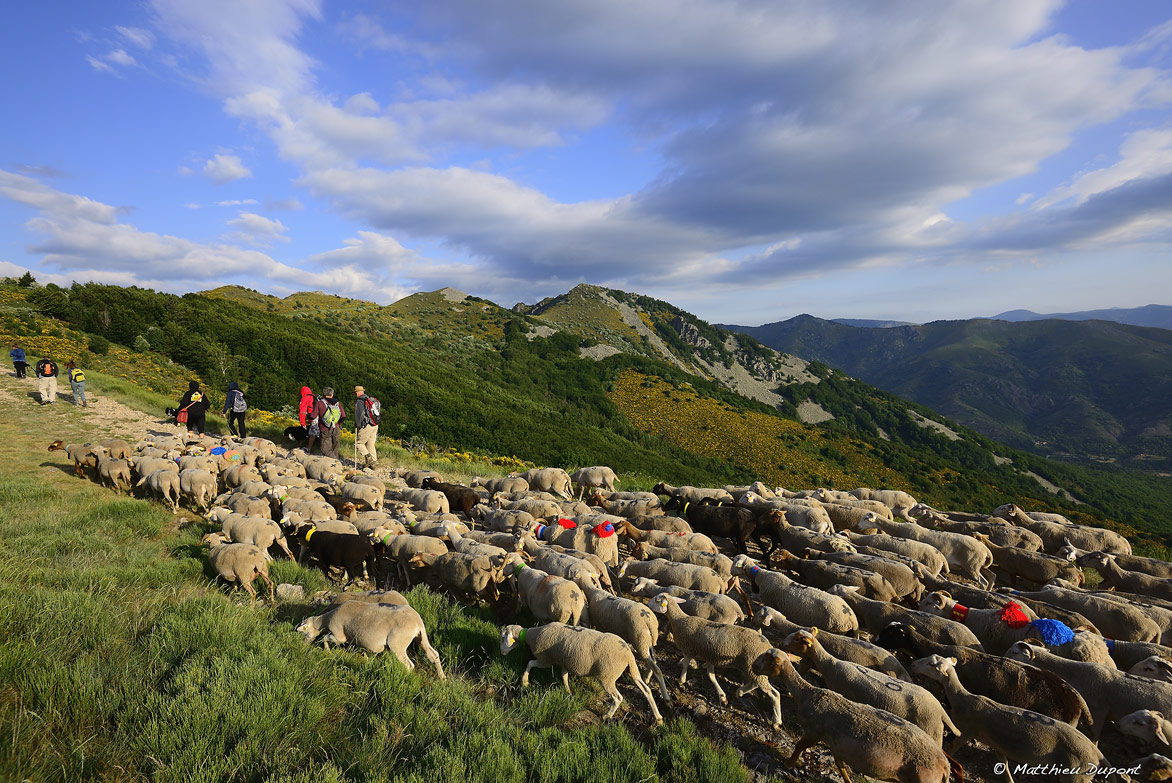 Agriculture en Montagne ardéchoise